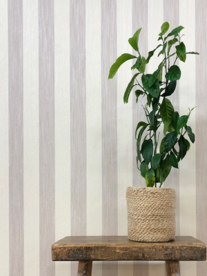 Soft Brown<br>20-1120