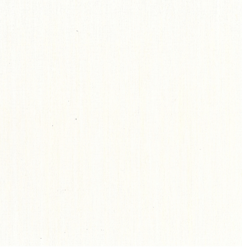 95-2310 white